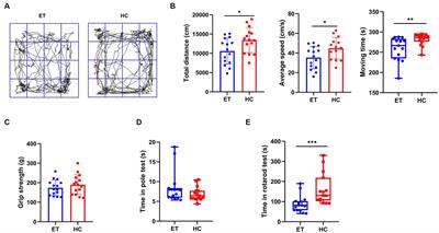 Gut microbiota from essential tremor patients aggravates tremors in mice